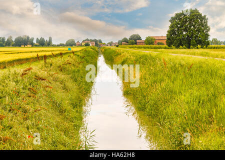 Canal d'irrigation le long de champs cultivés dans la campagne italienne Banque D'Images