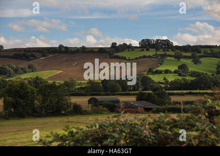 Cotswold Hills typique avec de petits bâtiments de ferme à la fin de l'été Banque D'Images