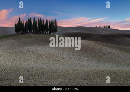 Coucher du soleil au cyprès près de San Quirico d'Orcia, Val d'Orcia, Toscane, Italie. Banque D'Images