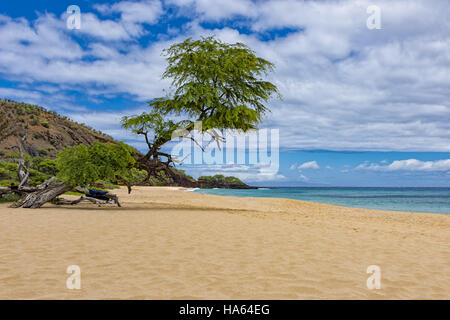 Grande plage près de Makena Wailea Maui Hawaii USA sur une journée ensoleillée avec de l'eau bleue Banque D'Images