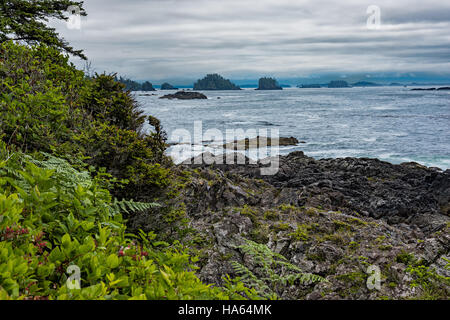 Près de la côte ouest de l'île Vancouver Colombie-Britannique Canada Ucluelet Sentier Wild Pacific avec Broken Group Islands dans l'arrière-plan Banque D'Images