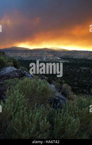 La photographie montre de la fumée dérivant à travers le plateau de Pajarito lors d'un incendie le 27 juin 2011. L'image met en évidence l'impact des feux de forêt sur l'environnement et le vaste paysage de la région. Banque D'Images