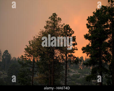 Cette image du laboratoire national de Los Alamos capture la force destructrice de l'incendie du 27 juin 2011. L'incendie, qui a touché la zone près du laboratoire, a été un événement important pour la région et les activités du laboratoire. Banque D'Images