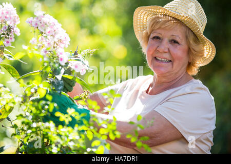 Senior woman examinant flowers in garden Banque D'Images