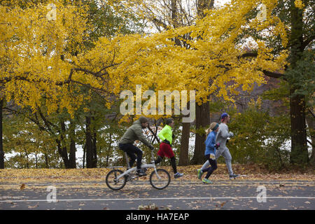 Les coureurs obtenir bon exercice parmi les feuilles de l'automne brillant Gingko Arbres dans Prospect Park, Brooklyn, New York. Banque D'Images