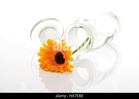 La médecine, souci officinal (Calendula) dans une bouteille d'apothicaire Banque D'Images