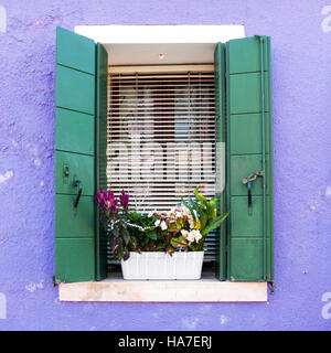 Fenêtre avec volets colorés ouvert et pot de fleurs sur l'île vénitienne de Burano Banque D'Images