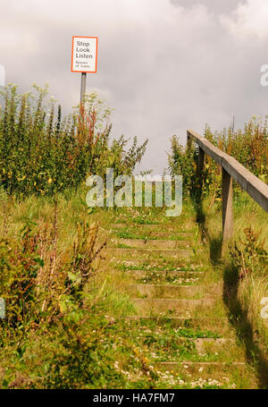 Étapes menant à un sentier traverse une ligne principale de chemin de fer. Banque D'Images