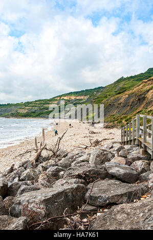 Les chasseurs de fossiles examiner les gros cailloux trouvés sur le rivage de la plage de l'ouest le long de la base du glissement actif Black Ven Banque D'Images