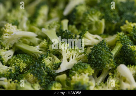 L'initiative MyPlate du ministère de l'Agriculture des États-Unis encourage des habitudes alimentaires saines, encourageant des régimes équilibrés grâce à une nutrition et des choix alimentaires appropriés pour une meilleure santé. Banque D'Images