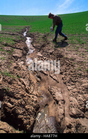 Un scientifique de l'USDA mène des recherches sur l'érosion des sols dans un champ de blé dans un parc national, contribuant ainsi à la compréhension de la santé des sols et des techniques de prévention de l'érosion dans les zones agricoles. Banque D'Images