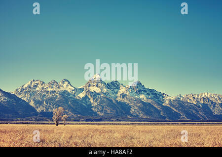 Tons rétro voir des montagnes du Grand Teton, Wyoming, États-Unis. Banque D'Images