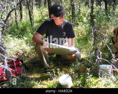 L'échantillonnage de carburant dans le parc national Denali se concentre sur la surveillance et la gestion des ressources naturelles du parc afin de prévenir les feux de forêt et de protéger ses écosystèmes. Banque D'Images