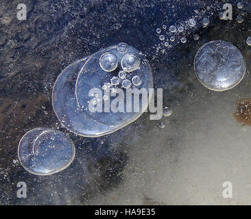 Une image étonnante de cristaux et de formations de glace dans un parc national dans la région du Nord-est, mettant en valeur les motifs délicats et complexes formés par les processus naturels. La photographie souligne la beauté de la glace en tant qu’élément clé de l’écosystème hivernal du parc. Banque D'Images