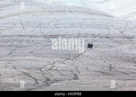 Les randonneurs traversent le glacier Root en Alaska, explorant l'une des caractéristiques naturelles les plus uniques de l'État. Le glacier offre une vue imprenable et une occasion d’en apprendre davantage sur les systèmes glaciaires de l’Alaska et leur impact sur le paysage. Banque D'Images