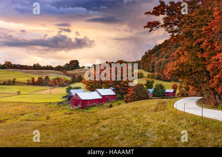 Jenné automne Rural Farm dans le Vermont, USA. Banque D'Images