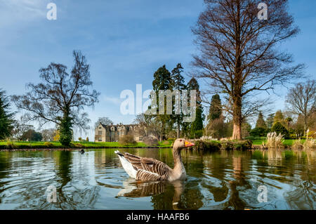 Wakehurst Place dans West Sussex Banque D'Images