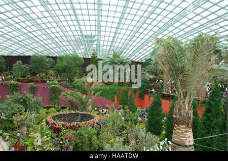 Singapour - 23 juillet 2016 : l'intérieur du dôme de fleurs - Jardin de la baie Banque D'Images