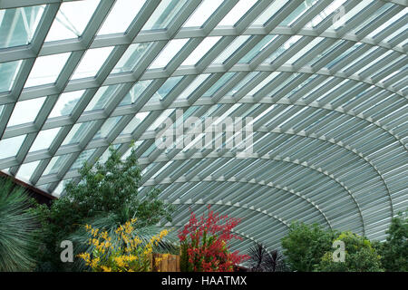 Singapour - 23 juillet 2016 : l'intérieur du dôme de fleurs - Jardin de la baie Banque D'Images