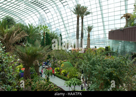 Singapour - 23 juillet 2016 : l'intérieur du dôme de fleurs - Jardin de la baie Banque D'Images