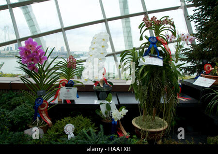 Singapour - 23 juillet 2016 : l'intérieur du dôme de fleurs - Jardin de la baie Banque D'Images