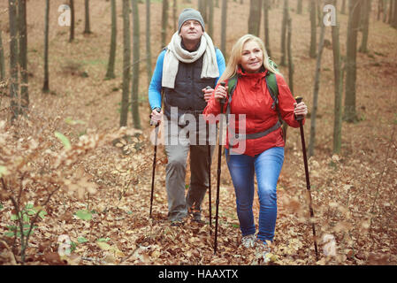 Se déplacer vers le haut sur la colline dans la forêt Banque D'Images