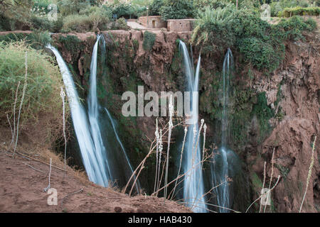 Couleur rouge de la montagne avec plusieurs lignes de cascades. Divers arbustes et arbres croissant sur la montagne. Cascades Ouzoud, Maroc. Banque D'Images