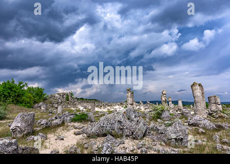 Forêt de pierre avec vue magnifique sur la célèbre formation rock Stone Forest près de Varna, Bulgarie ou rocheux - 'Pobiti kamani' Banque D'Images