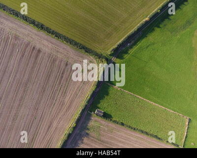 Ariel image de terres arables, Cheshire Banque D'Images