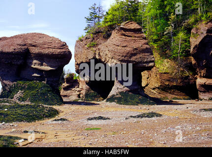 Hopewell Rocks New Brunswick Canada Banque D'Images