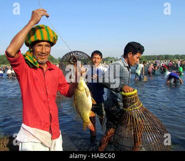 Guwahati, état indien de l'Assam. 28 Nov, 2016. Les pêcheurs montrent leur récolte pendant un événement de pêche communautaire à Kasua Beel de Lakhimpur, district nord-est de l'état indien de l'Assam, le 28 novembre 2016. © Stringer/Xinhua/Alamy Live News Banque D'Images