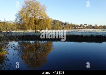 Godalming, Surrey, UK 29 Nov, 2016 29 novembre 2016 Météo France : Les températures ont plongé à -7C dans les zones rurales du jour au lendemain. Une explosion de fraîcheur et de commencer la journée à Godalming, Surrey. Credit : james jagger/Alamy Live News Banque D'Images