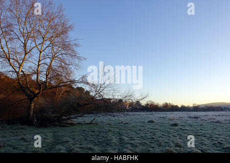 29 novembre 2016 La météo au Royaume-Uni : Les températures ont plongé à -7C dans les zones rurales du jour au lendemain. Une explosion de fraîcheur et de commencer la journée à Godalming, Surrey. Credit : james jagger/Alamy Live News Banque D'Images