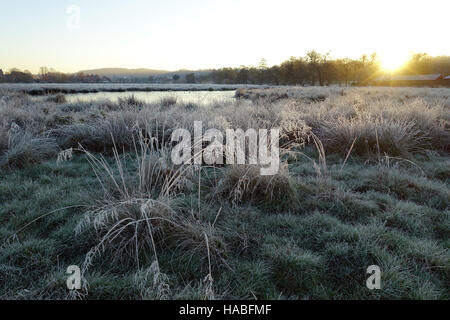 29 novembre 2016 La météo au Royaume-Uni : Les températures ont plongé à -7C dans les zones rurales du jour au lendemain. Une explosion de fraîcheur et de commencer la journée à Godalming, Surrey. Credit : james jagger/Alamy Live News Banque D'Images