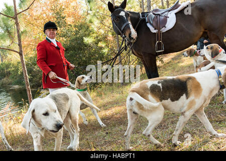 Huntsman Willie Dunn rassemble les chiens lors de la première chasse de la saison à Middleton Place Plantation le 27 novembre 2016 à Charleston, SC. La chasse au renard à Charleston est un frein à l'aide d'un chiffon chasse parfumée pour simuler un renard et aucun animal n'est blessé. Banque D'Images