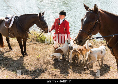 Huntsman Willie Dunn rassemble les chiens lors de la première chasse de la saison à Middleton Place Plantation le 27 novembre 2016 à Charleston, SC. La chasse au renard à Charleston est un frein à l'aide d'un chiffon chasse parfumée pour simuler un renard et aucun animal n'est blessé. Banque D'Images