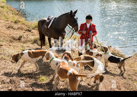 Huntsman Willie Dunn rassemble les chiens lors de la première chasse de la saison à Middleton Place Plantation le 27 novembre 2016 à Charleston, SC. La chasse au renard à Charleston est un frein à l'aide d'un chiffon chasse parfumée pour simuler un renard et aucun animal n'est blessé. Banque D'Images