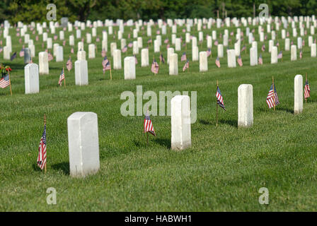 Fort Myer, Virginie, USA - 1 mai 2015 : American flags la mémoire des anciens combattants inhumés au cimetière national d'Arlington à Fort Myer, près de Washington, D.C. Banque D'Images