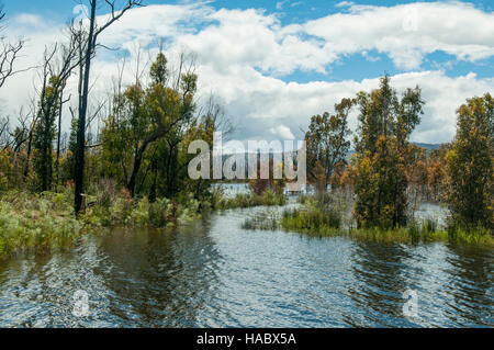 Lake Wartook, Grampians, Victoria, Australie Banque D'Images