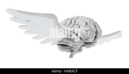 Cerveau volant avec ailes blanches. 3D illustration. Banque D'Images