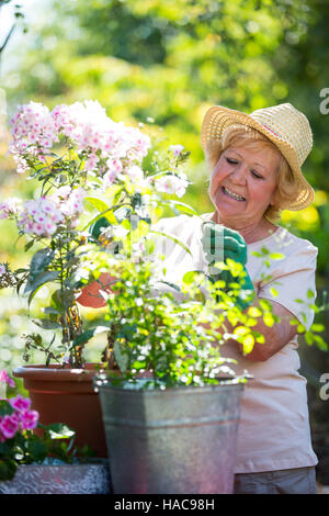 Senior woman examinant flowers in garden Banque D'Images