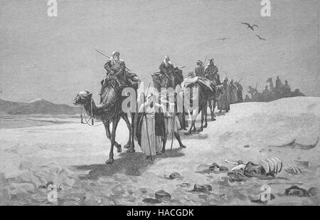 Une caravane arabe avec des chameaux dans le désert, 1880, gravure sur bois, l'illustration historique Banque D'Images