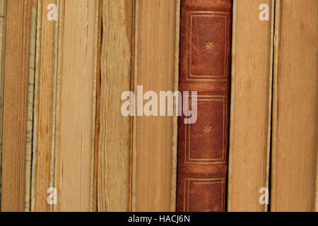 Pile de vieux livres libre - vintage books Banque D'Images