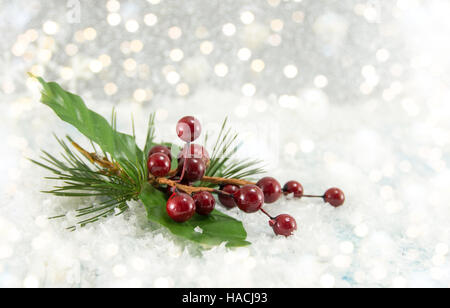 Le gui des décorations de Noël avec des lumières de fête Banque D'Images