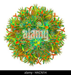 Dendrimère, computer artwork. Dendrimères sont artificiellement créé polymères ramifiés. En raison du degré élevé de personnalisation moléculaire au cours de la synthèse, ils pourraient un jour être utilisées pour une variété d'applications, telles que les nanotechnologies, les systèmes d'administration des médicaments, les batteries à l'échelle nanométrique, lubrifiants, de catalyseurs et d'herbicides. Banque D'Images