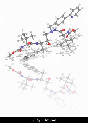 L'atazanavir. Le modèle moléculaire du médicament antirétroviral atazanavir (C38.H52.N6.O7). Ce médicament est dans la classe des inhibiteurs de protéase utilisé dans le traitement du VIH (virus de l'immunodéficience humaine). Les atomes sont représentés comme des sphères et sont codés par couleur : carbone (gris), l'hydrogène (blanc), l'azote (bleu) et d'oxygène (rouge). L'illustration. Banque D'Images