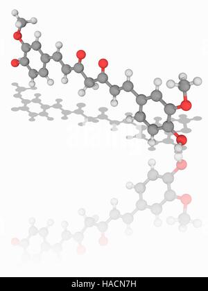 La curcumine. Le modèle moléculaire du colorant alimentaire et additif alimentaire la curcumine (C21.H20.O6). C'est le principal ingrédient actif de l'épice curcuma indien. Son numéro E EST E100. Les atomes sont représentés comme des sphères et sont codés par couleur : carbone (gris), l'hydrogène (blanc) et d'oxygène (rouge). L'illustration. Banque D'Images