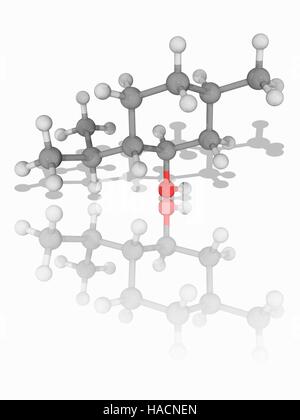 Le menthol. Le modèle moléculaire du composé organique menthol cyclohexanol (C10.H20.O). C'est produit synthétiquement ou obtenues à partir d'huile de menthe poivrée ou d'autres huiles de menthe. L'une de ses utilisations est comme un anesthésique local. C'est aussi une contre-irritant. Les atomes sont représentés comme des sphères et sont codés par couleur : carbone (gris), l'hydrogène (blanc) et d'oxygène (rouge). L'illustration. Banque D'Images