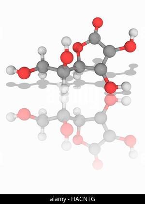 Vitamine C. Le modèle moléculaire de l'acide ascorbique (C6.H8.O6), également connu sous le nom de vitamine C. Cette vitamine est nécessaire pour protéger l'organisme contre le stress oxydatif. Les atomes sont représentés comme des sphères et sont codés par couleur : carbone (gris), l'hydrogène (blanc) et d'oxygène (rouge). L'illustration. Banque D'Images