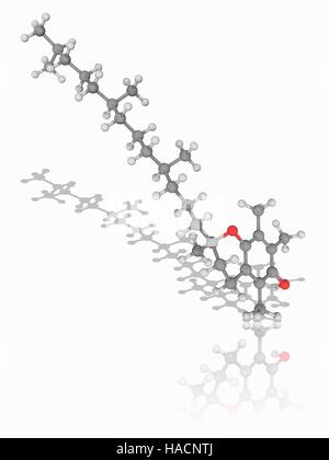 Vitamine E. Le modèle moléculaire de l'alpha-tocophérol (C29.H50.O2), le plus forme biologiquement active de la vitamine E. Insuffisance de cette vitamine entraîne des problèmes neuromusculaires. Les atomes sont représentés comme des sphères et sont codés par couleur : carbone (gris), l'hydrogène (blanc) et d'oxygène (rouge). L'illustration. Banque D'Images